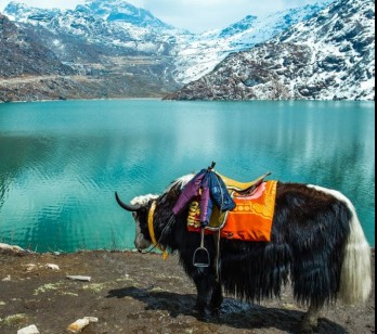Ideal Sikkim, Gangtok, Darjeeling Honeymoon Package